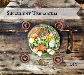 succulent terrarium diy, crafts, gardening, succulents, terrarium