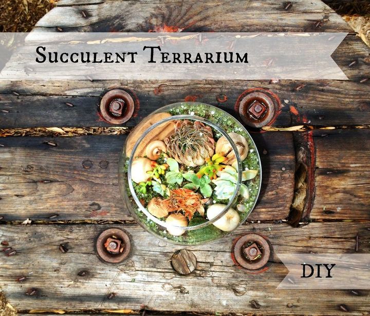 succulent terrarium diy, crafts, gardening, succulents, terrarium