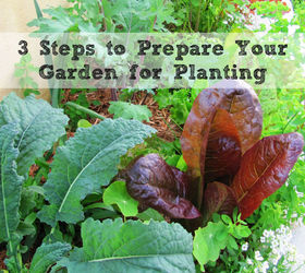 3 Steps to Prepare Your Garden for Planting