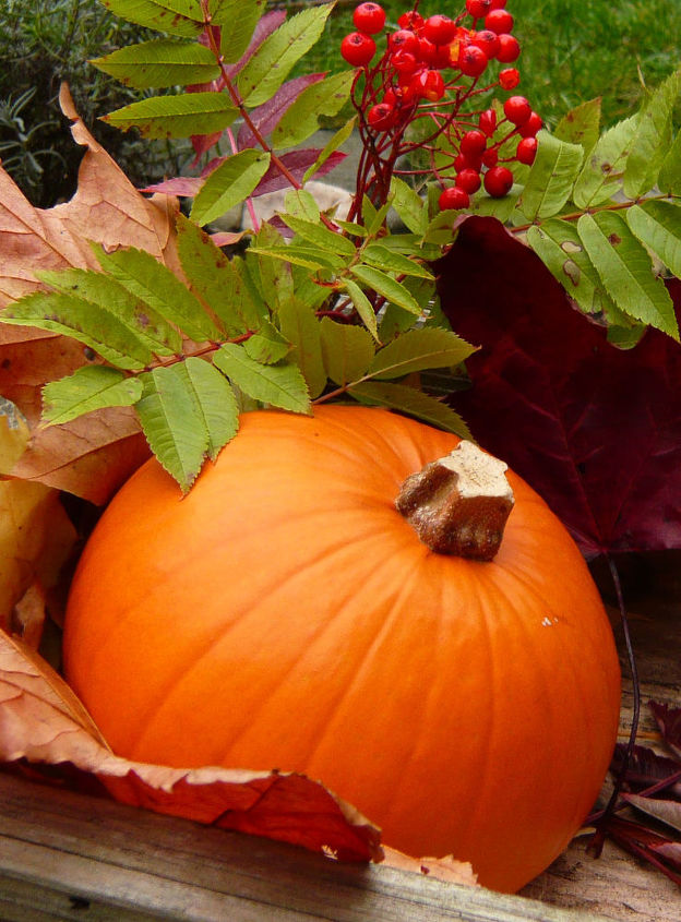 ideia de decorao de outono para a varanda ou terrao