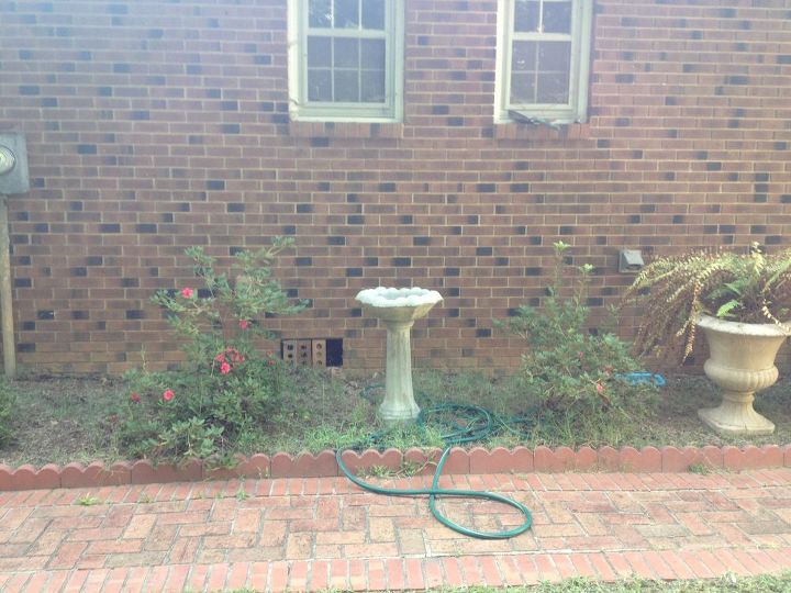 i want a beautiful patio area but i need help, concrete masonry, flowers, outdoor living, patio, We have several encore azaleas against the house lining the sidewalk We put down screen to keep weeds out and it hasnt worked We are not weed pulling people and I don t know what to plant