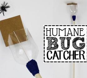 how to make a humane bug catcher, crafts, how to, pest control, repurposing upcycling