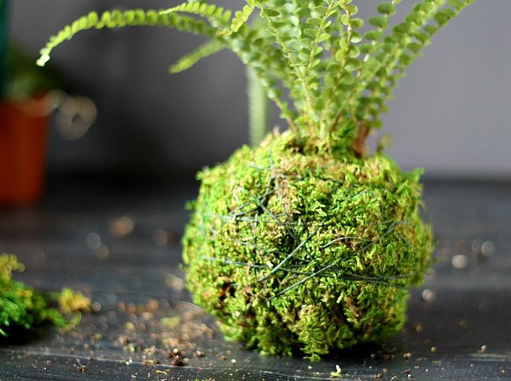 a little eye candy for your window, container gardening, crafts, flowers, gardening