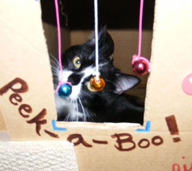 cat home cardboard box, crafts, pets, pets animals, repurposing upcycling