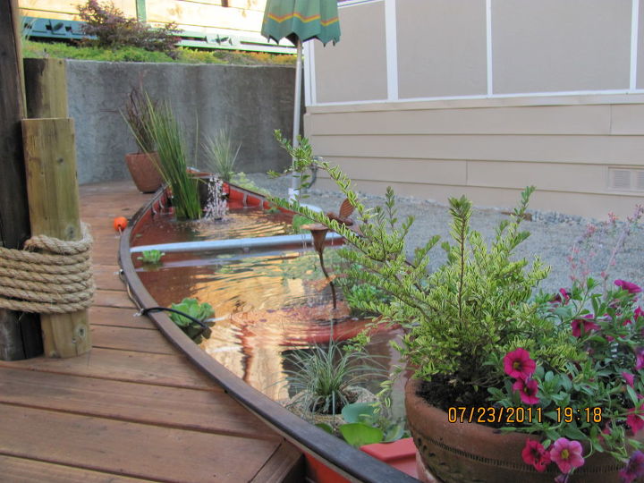 the canoe pond, outdoor living, ponds water features, Enjoy this interesting Canoe Pond Oxymoron