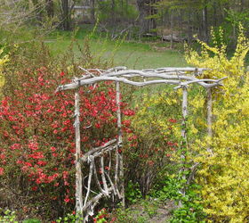 arbors i built in my garden from cedar tree i had to remove, gardening, woodworking projects, Secret raspberry garden beyond