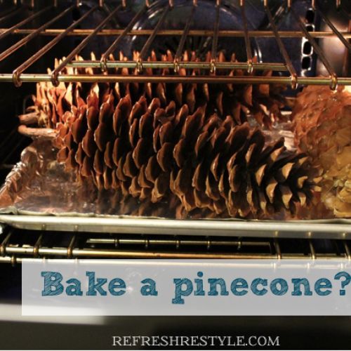 get rid of insects in your pinecones before you decorate with them, crafts, Bake before you decorate