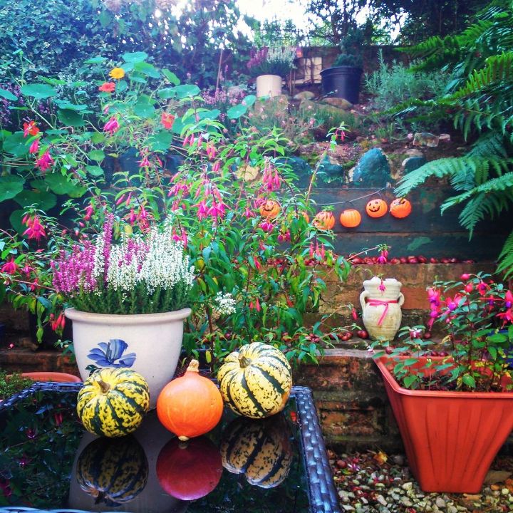 fall garden patio hometalk