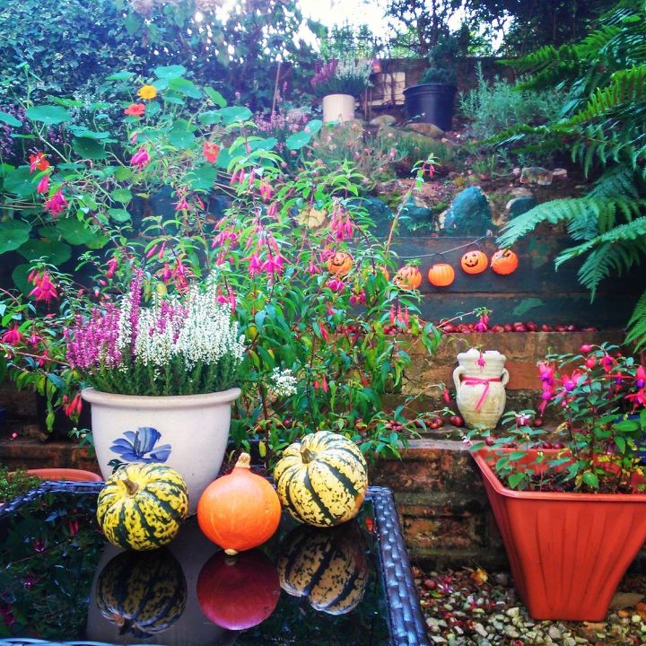 patios fall garden decor flowers, container gardening, gardening, outdoor living, patio, seasonal holiday decor