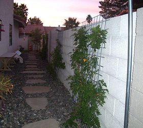 narrow side yard, gardening, outdoor living, I have now added some vine work to the walls too