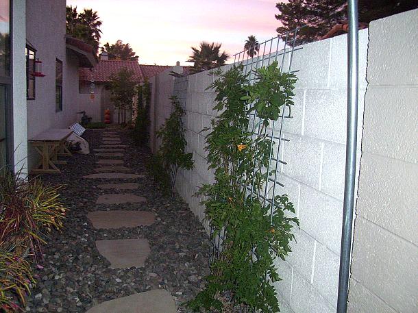 narrow side yard, gardening, outdoor living, I have now added some vine work to the walls too