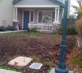 q low maintenance lawn starting from scratch need input, curb appeal, gardening, landscape, succulents, We also have all the neighborhood utility boxes phone cable water streetlight