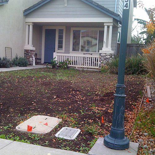 q low maintenance lawn starting from scratch need input, curb appeal, gardening, landscape, succulents, We also have all the neighborhood utility boxes phone cable water streetlight