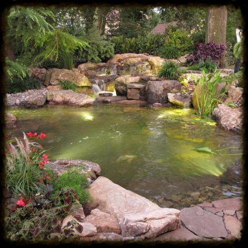 underwater led lighting, lighting, outdoor living, ponds water features, LED Lights in the pond help bring it alive at night