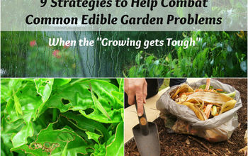 9 estrategias para ayudar a combatir los problemas comunes del jardín comestible