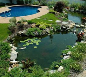 if one pond is good are 2 ponds better, ponds water features, pool designs, spas, Lower pond and poo in the background This pond project won an International award from the Association of Pool and Spa Professionals APSP Silver medal for waterfeatures