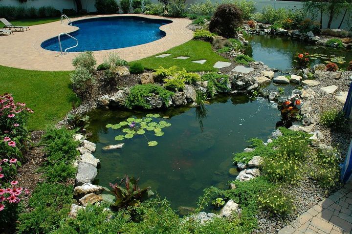 if one pond is good are 2 ponds better, ponds water features, pool designs, spas, Lower pond and poo in the background This pond project won an International award from the Association of Pool and Spa Professionals APSP Silver medal for waterfeatures