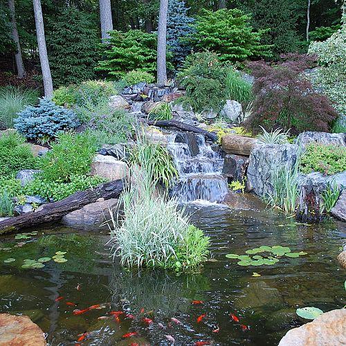 color in the landscape, go green, outdoor living, ponds water features, This Is Why