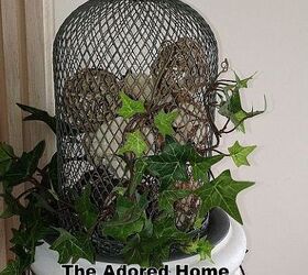 cloche envy, gardening, home decor, One of my spring cloches