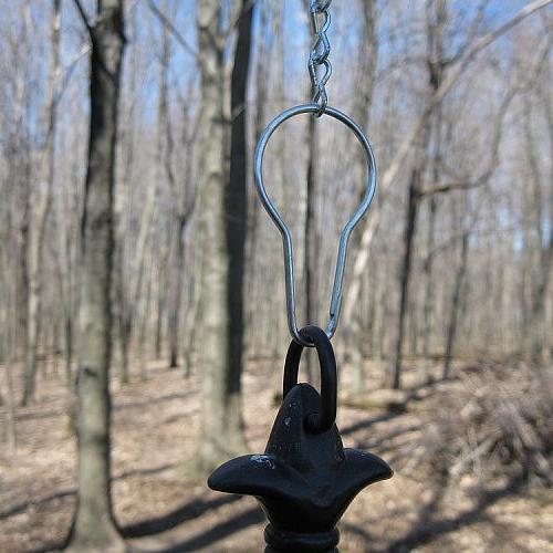 The Perfect Bird Feeder Hooks Hometalk