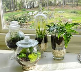 indoor gardening, container gardening, gardening, succulents, terrarium, And here s your end result So easy and so impressive