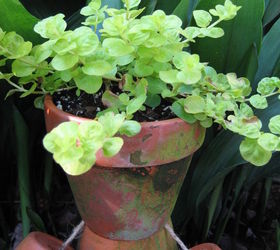 a fun and whimsical flower pot man for your garden, crafts, flowers, gardening, Top him off with his head another larger pot filled with a fun creeping plant such as Creeping Jenny to serve as hair