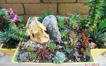 my mini succulent garden on the pot with rural asian village setting