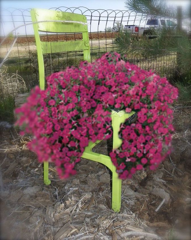 an old chair get a new life, container gardening, gardening, repurposing upcycling, This lime green chair has been in my yard for quite sometime as a planter