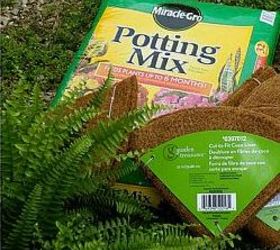 how to have hanging ferns that are the envy of the neighborhood, flowers, gardening, My first secret is to remove the plastic pot they come in and replant them using a good quality potting mix