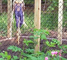 vegetable garden for 2 in 2 days, gardening, Every garden needs a cute scarecrow