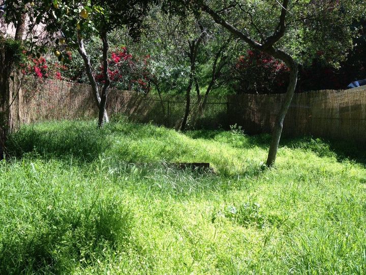 backyard makeover, flowers, gardening, landscape, outdoor living, succulents, Before purchased my home in Oct 2007 a1937 cabin in Laurel Canyon I didnt have the nerve to tackle the backyard until 2012 and here we are