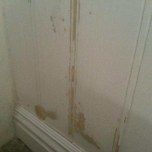 repairing water damaged wainscoting, home maintenance repairs, how to, wall decor, After sanding the swollen bulges down