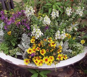 container garden in a vintage enamelware tub, container gardening, flowers, gardening, repurposing upcycling, Perfect spot sitting in the sun for hours happy so pretty See for tips on planting a container garden