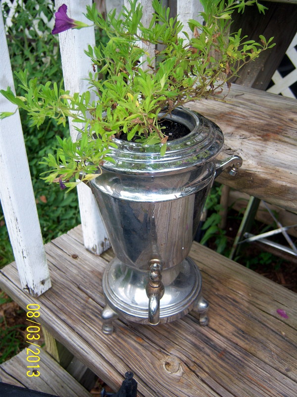 more of my unusual planters, flowers, gardening, repurposing upcycling, Antique coffee pot