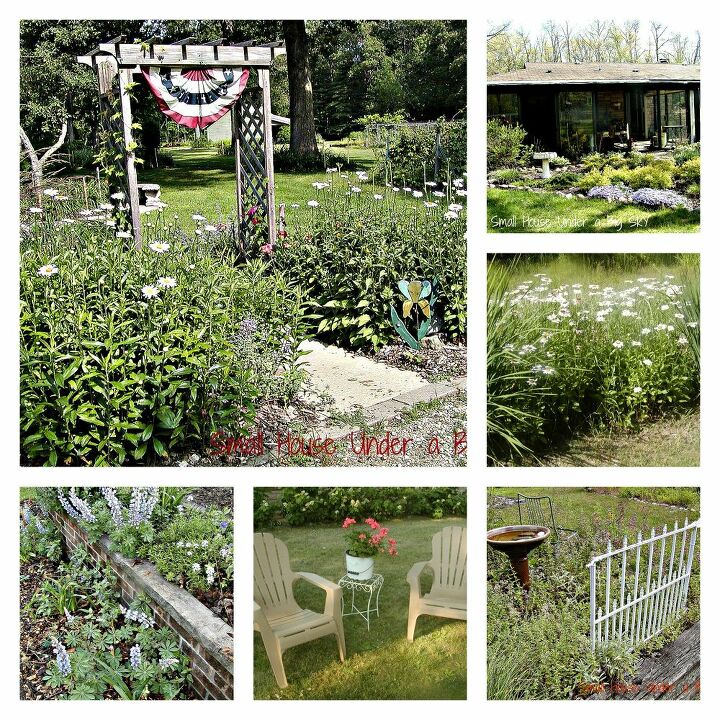 a southwestern michigan garden in august, gardening, August in a SW Michigan Garden
