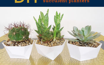 DIY Geometric Dip Bowl Succulent Planters