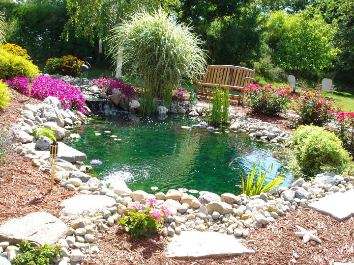 i just wanted to share my pride and joy my goldfish pond it has given us such an, outdoor living, ponds water features, My backyard goldfish pond