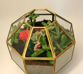pendant light turned terrarium, flowers, gardening, repurposing upcycling, succulents, terrarium