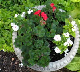plan now annual flower containers, container gardening, flowers, gardening, Geraniums vinca