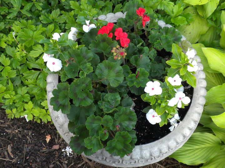 plan now annual flower containers, container gardening, flowers, gardening, Geraniums vinca