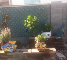 my backyard in arizona, flowers, gardening, outdoor living, raised garden beds