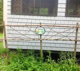 nifty and thrifty trellis for trailing clematis, gardening, Thrifty and Nifty Trellis