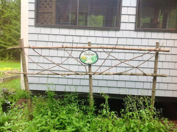 nifty and thrifty trellis for trailing clematis, gardening, Thrifty and Nifty Trellis