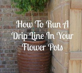 how to install a drip line to your flower pots, flowers, gardening, how to, landscape, outdoor living