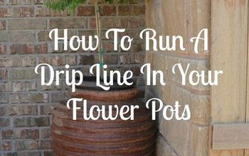  Como instalar uma linha de gotejamento em seus vasos