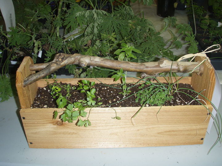 master gardeners are great here s an idea for a planter box by michaela kornblum in, gardening, herb box