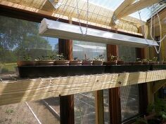 our greenhouse, doors, garages, gardening