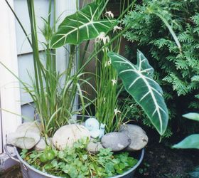 galvanized tub water garden, gardening, Galvanized tub water garden see more of my projects and ideas at or