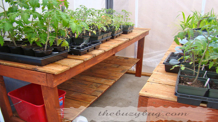 recycled wood fence turned into a beautiful greenhouse bench, gardening, repurposing upcycling, GREENHOUSE BENCH