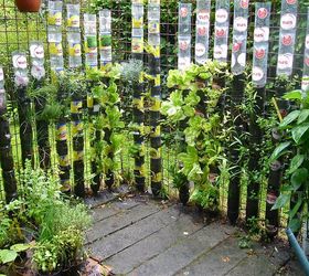 Vertical garden ideas with plastic bottles